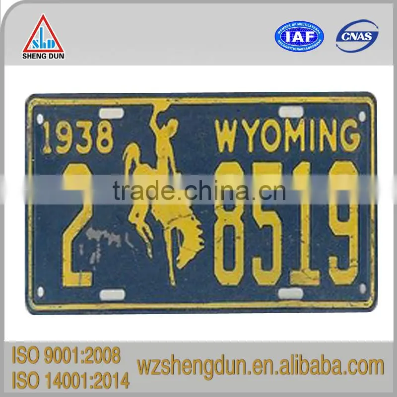 customizable embossed illuminated license plate for decoration