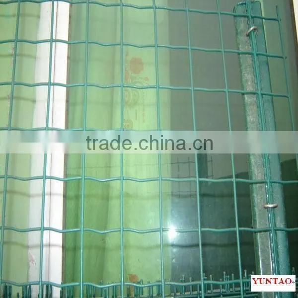 Europe Welded Wire Mesh in Rolls