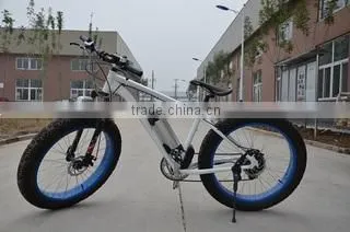 Dezhou Blueasian Imp & Exp Co., Ltd. company overview - view 1