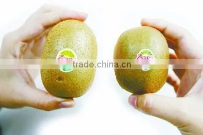 2016 hot sale Custom Printed Adhesive Packaging Sticker Fruit Label