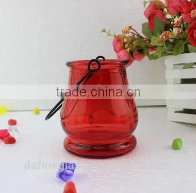 Glass Vase Bottle for plant With Metal Handle Candle Hydroponic/Home Decoration