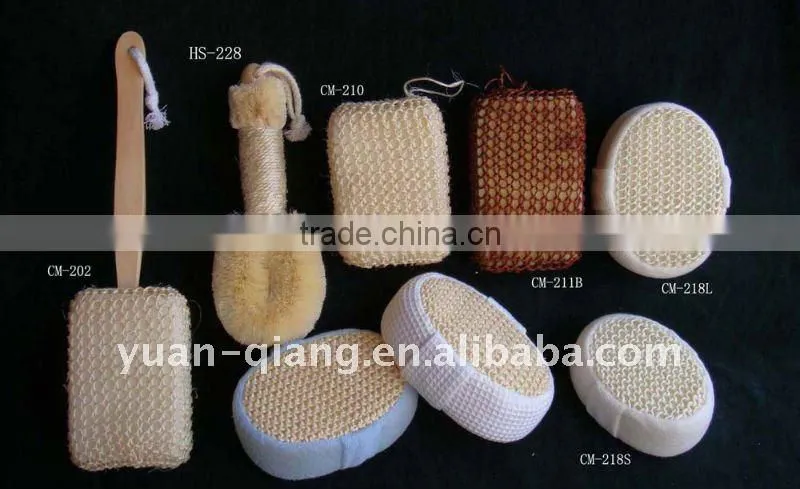Bath Sponge