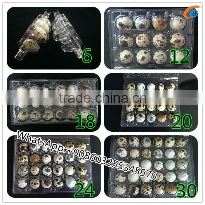 OUCHEN wholesale PVC clear plastic deviled egg carrier quail egg cartons 12 18 20 24 30 holes for sale