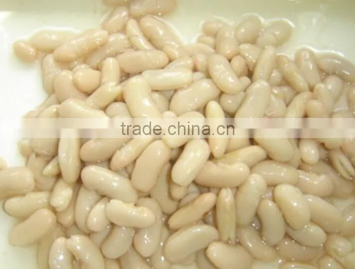 Good quality canned white kidney beans