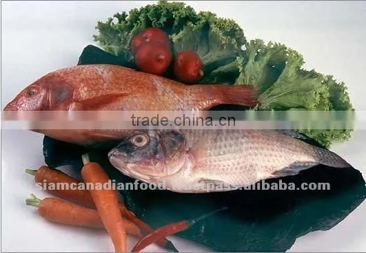 Various Styles Tilapia Fish
