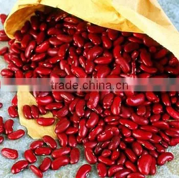 JSX cooking British red kidney bean round shape food grade red kidney bean