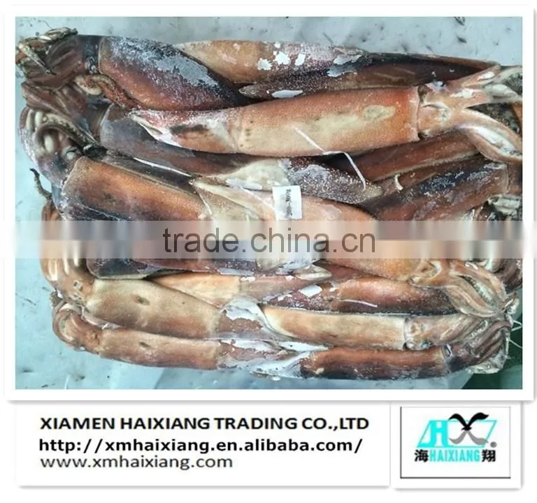 Frozen squid