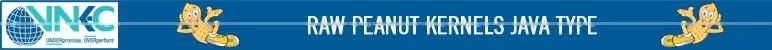 Top Selling Indian Produce Best Quality Java Peanuts Available at Low Export Price