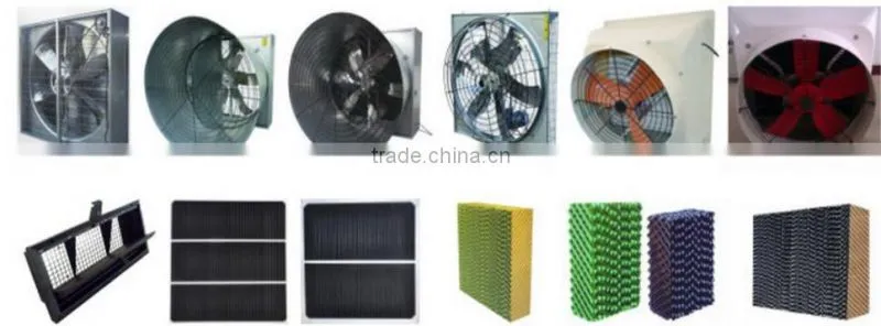 china poultry feeding machine price/automatic poultry feeding machine with price for sale