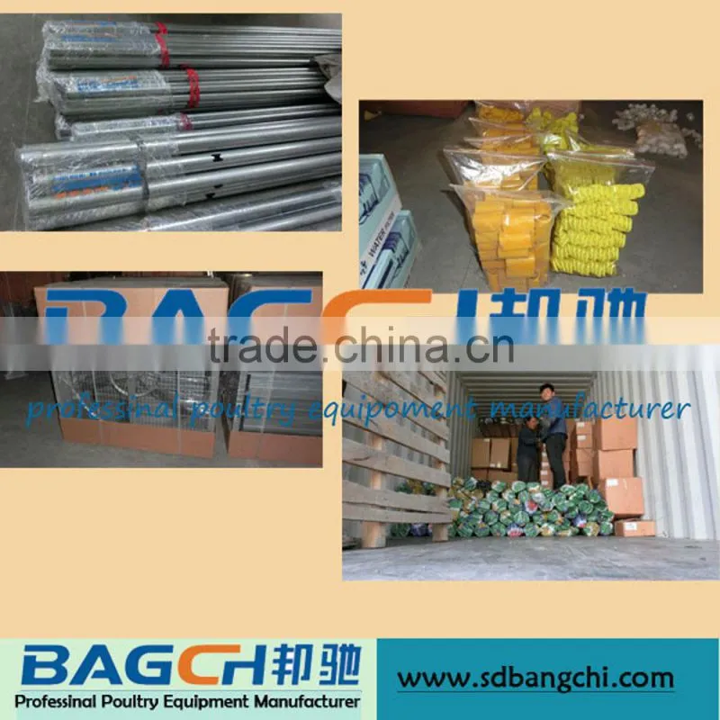 Automatic Poultry Equipment for Broiler Chicken