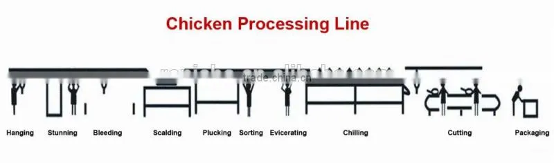 Bostar Brand Poultry Application Poultry Slaughtering Processing Plant Equipment