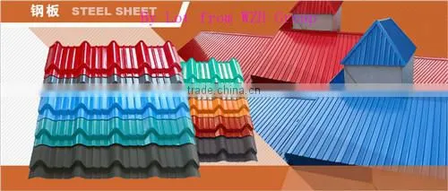 Color coated steel coil and sheet