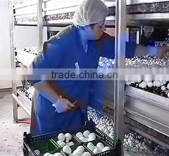 Aluminum alloy Agricultural frame