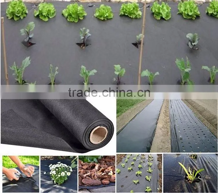 17~70g/m2 Biodegradable Weed Control PP Non Woven Weed Mat