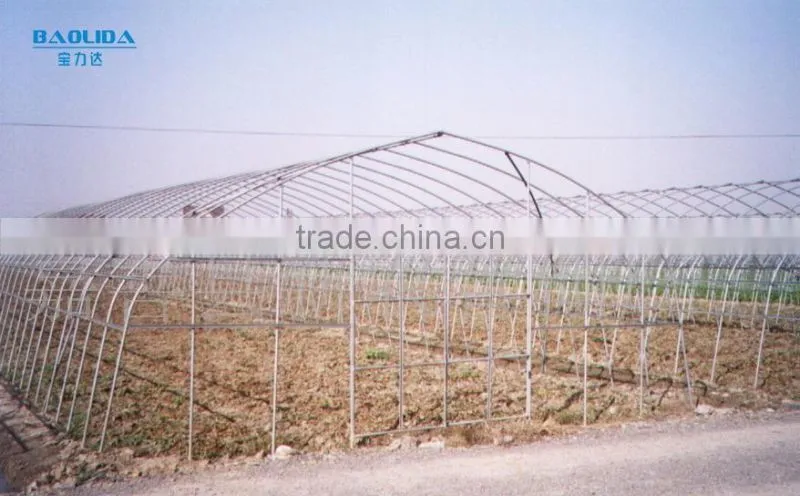 Tunnel Greenhouse Construction For Planting