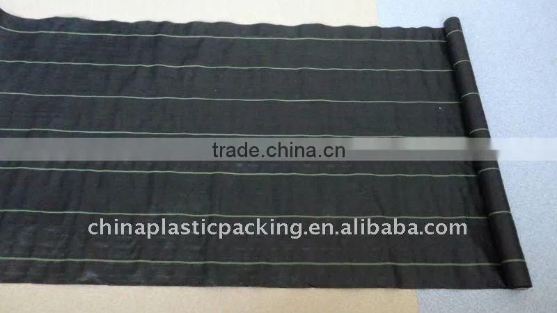 Garden with anti-grass cloth