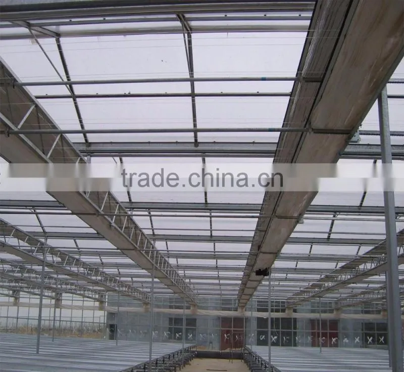 Greenhouse inside sunshade net for agriculture