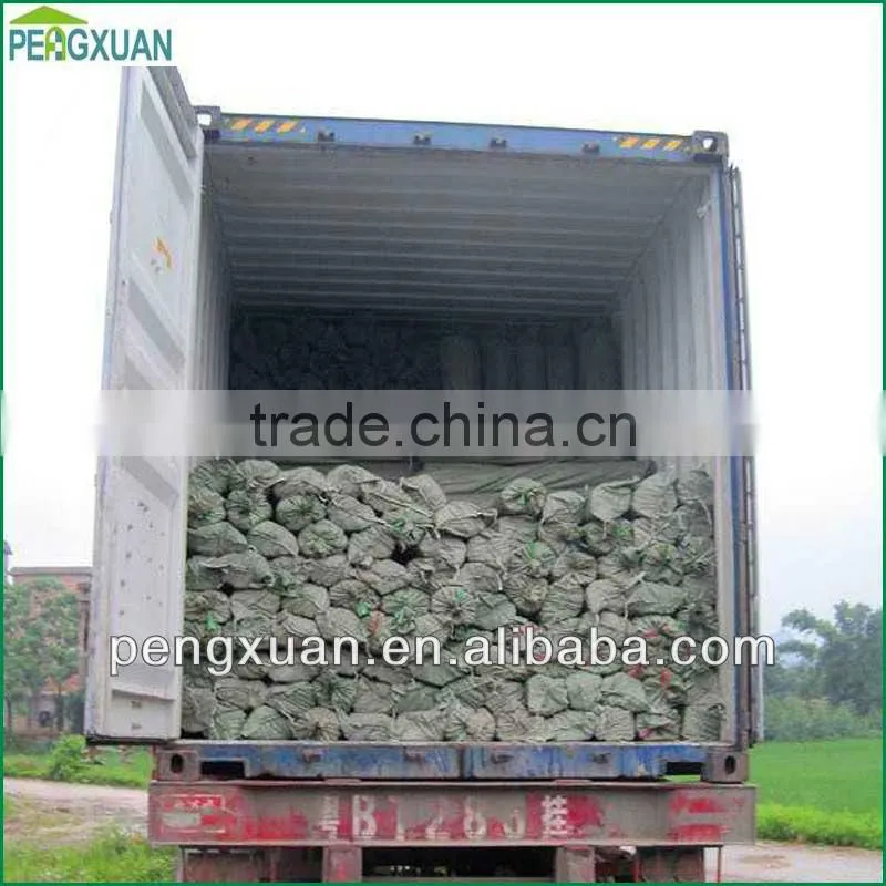 wholesale natural eucalyptus vineyard grape stakes for plant support