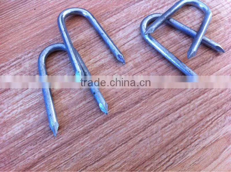 6.5ga electro galvanized steel Sod Nail with sharp point on sale