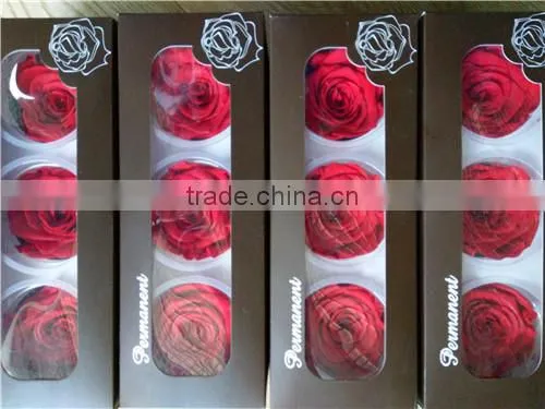 everlasting rose A grade 6 to 7 cm preserved rose from Yunnan