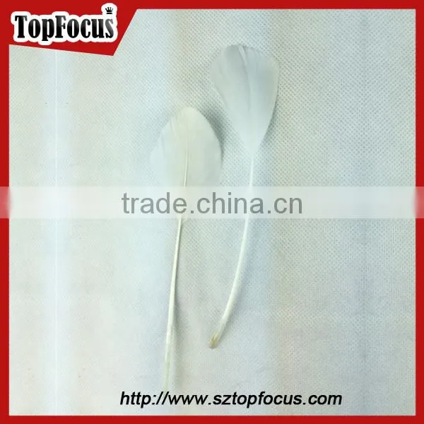 Fashion factory prices wholesale prime quality dyed goose wing feather