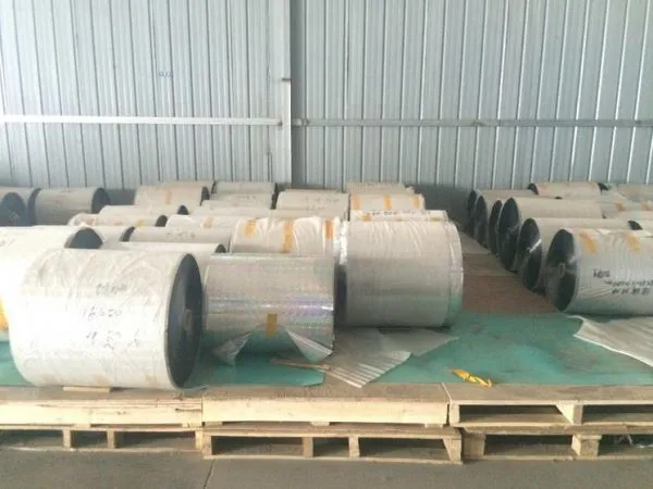 Shantou Haoli Packing Material Co.,ltd company overview - view 1