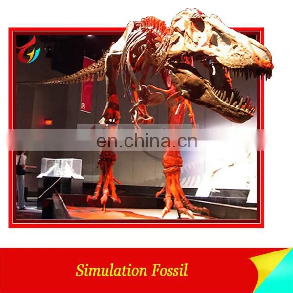 Hand made life size skeleton dinosaur fossil