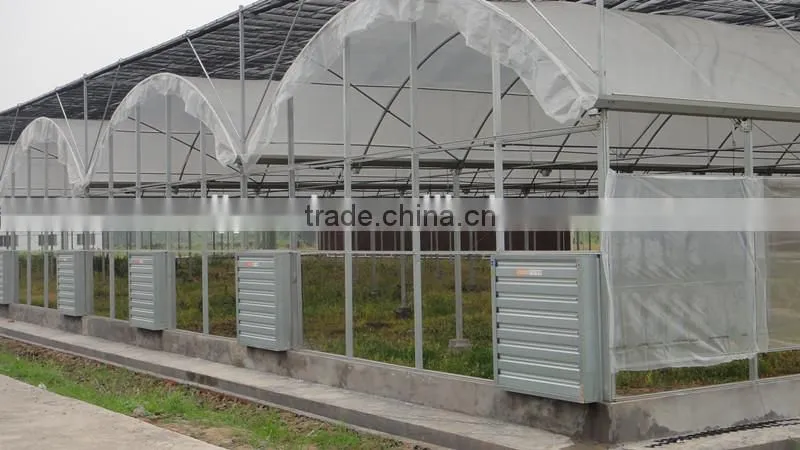 200 Micro UV Film Greenhouse With Cooling Pad And Fan