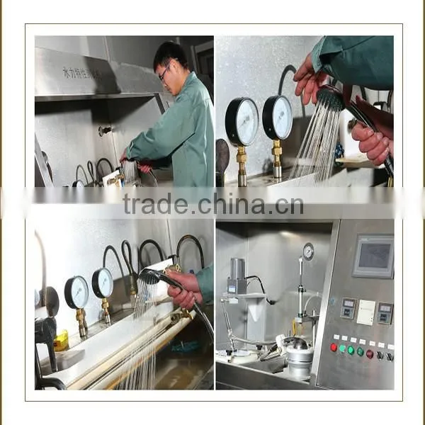 SS-KT633 Cixi High Quality German Shower Head