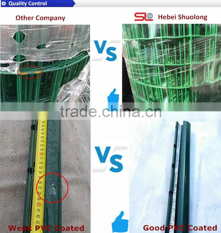 Euro Welded Wire Mesh Roll Garden Fence