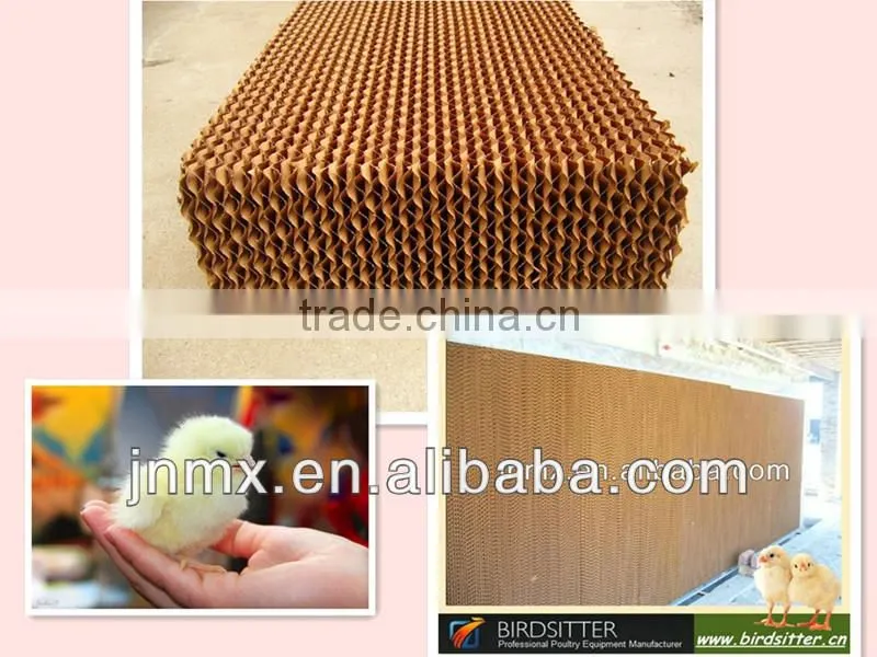 BIRDSITTER modern uae chicken farm poultry broiler chicken machine