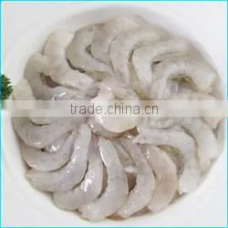 HL0088 illex squid tubes squid fish