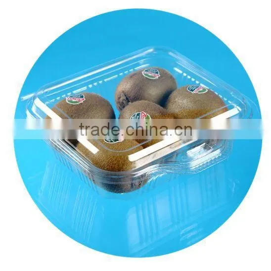 blueberry custom boxes;blueberry box;blueberry container