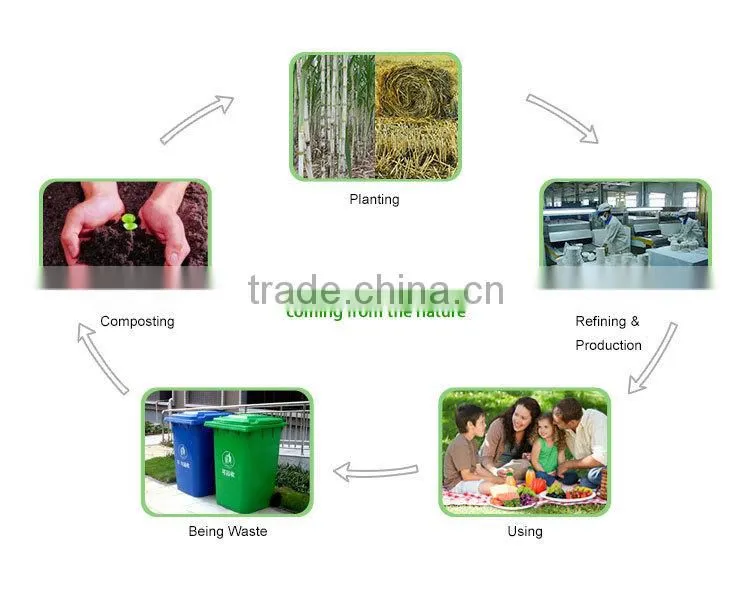 sugarcane bagasse disposable tableware/ biodegradable tableware/ biodegradable plates