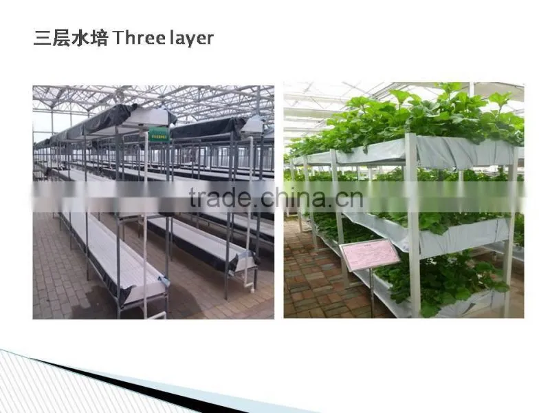 Greenhouse Hydroponics garden for vegetables