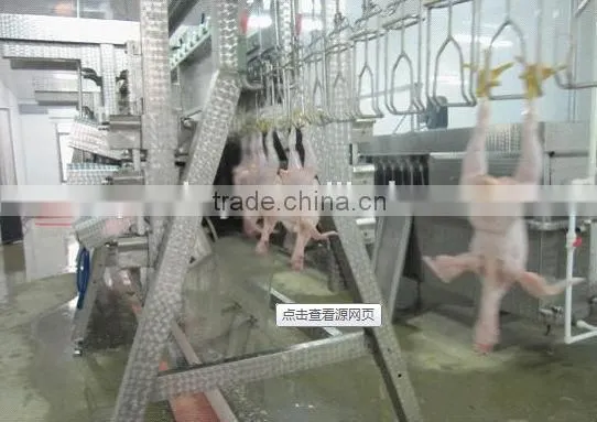 poultry slaughter house