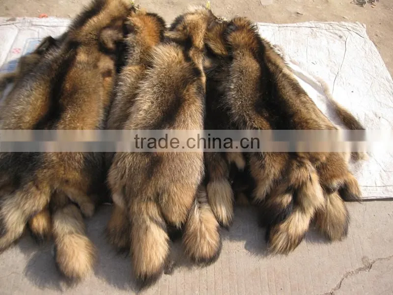 2016/2017 Real Tanning Raccoon Fur Skin