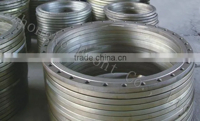 Factory Supply Forged Pipe Fitting Flange