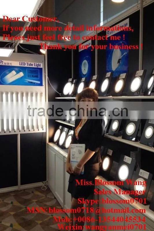 Shenzhen COB led downlight factory series waterproof IP65 cob led downlight Cree cob led downlight from Rise Lighting