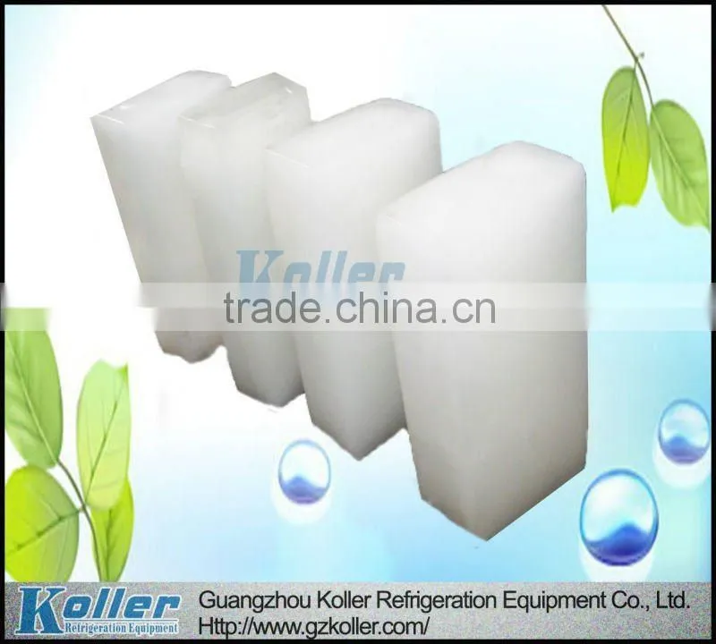 New Design 5 tons/day Block Ice Maker for tropical area
