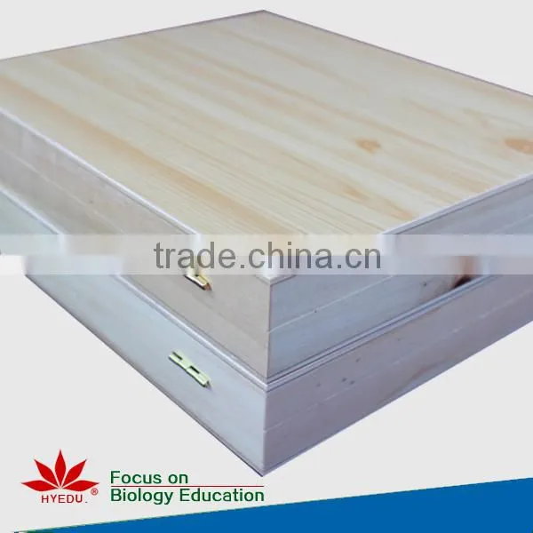 Individual microscope prepared slides Medical parasite microscope slides