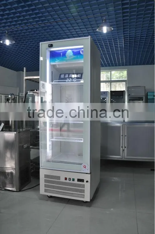 Vertical Freezer for Ice Cream