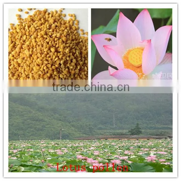 100% pure rape flower pollen with health certificate