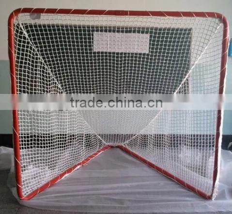 Field Hockey Goal