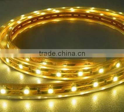 RGB LED strip light 300led for 5meter IP20 IP65 IP68