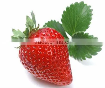 Strawberry Powder food and beverage