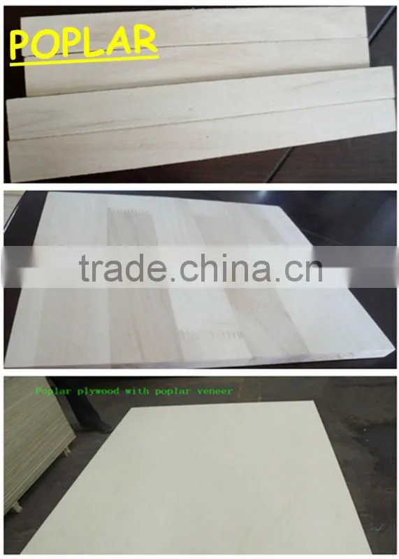 Poplar plywood with poplar veneer with best price and high quality