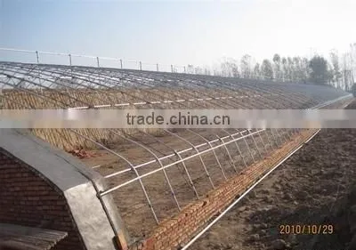 large multi-span commercial agriculture greenhouse