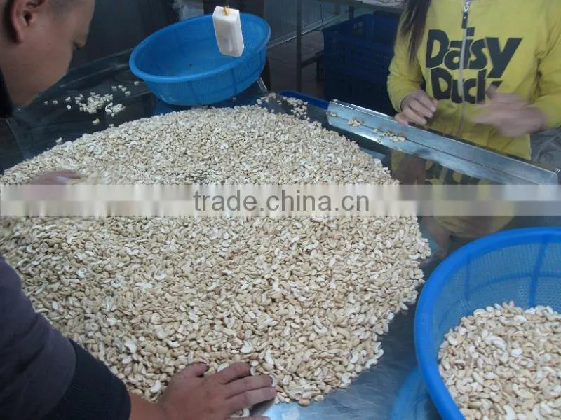 VIETNAM CASHEW NUT