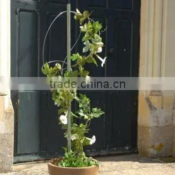 Plant Support
